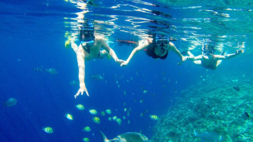Bohol Island Dolphin Watching & Balicasag Island Snorkeling & Loboc River & Chocolate Hills & Tarsier & Butterfly Garden