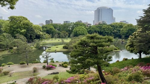 [Akihabara Storage House] One-Day Cycling Tour in Tokyo - Cycling Experience