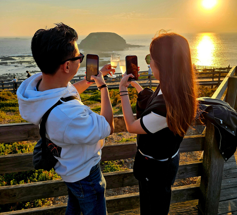 Melbourne: Boutique Phillip Island Wine, Dine & Penguin Tour