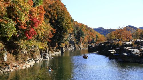 [Official Ticket] Seibu 1-Day Pass (Optional Nagatoro/Seibu Kawagoe Pass Package~Depart from Ikebukuro to Tokyo and Saitama, explore the charming scenery of Kawagoe and Chichibu) Transport Passes