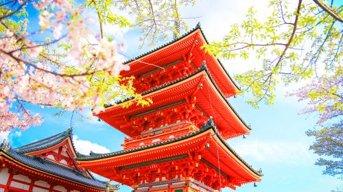 Kyoto & Nara Classic Day Tour with Friendly Deer