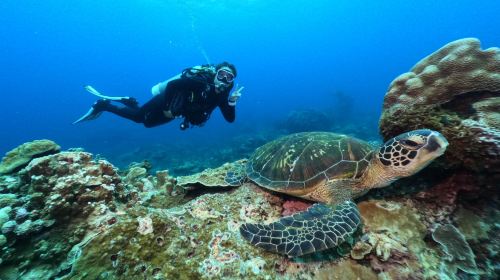 Experience diving diving in Green Island Township, Taitung for 0.5 hours [Green Island Decompression Chamber Scuba diving Experience]