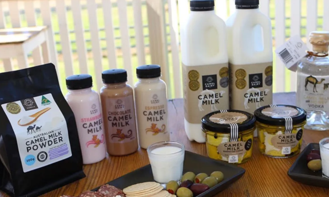 Summer Land Camel Farm Tour with Grazing Platter