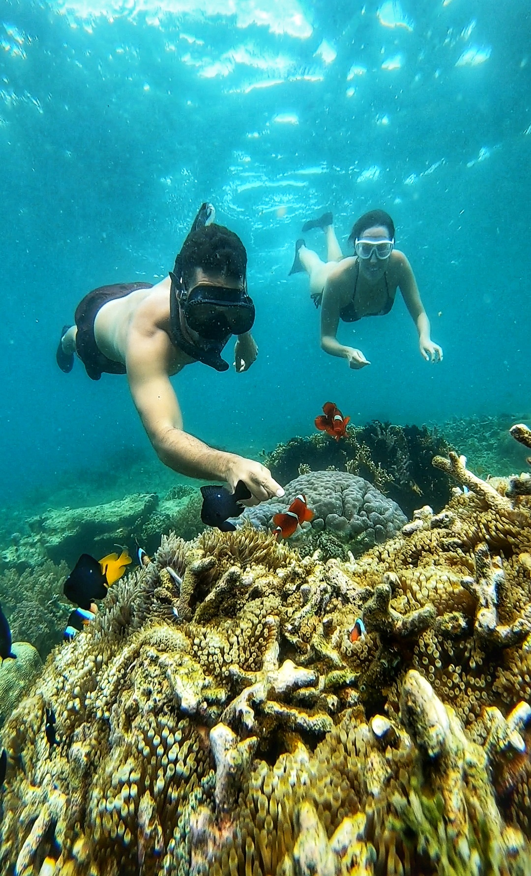 Secrate Island Private Snorkling Tour in lombok with go pro