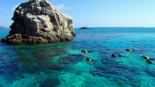 Japan Okinawa Blue Cave snorkeling half-day tour