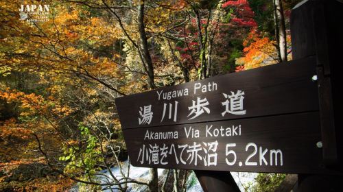 Nikko Toshogu Shrine Day Tours