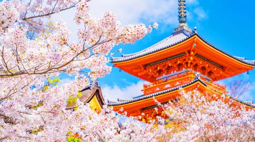 1-day tour to Kyoto Fushimi Inari Taisha + ancient temples in Kyoto Day Tours