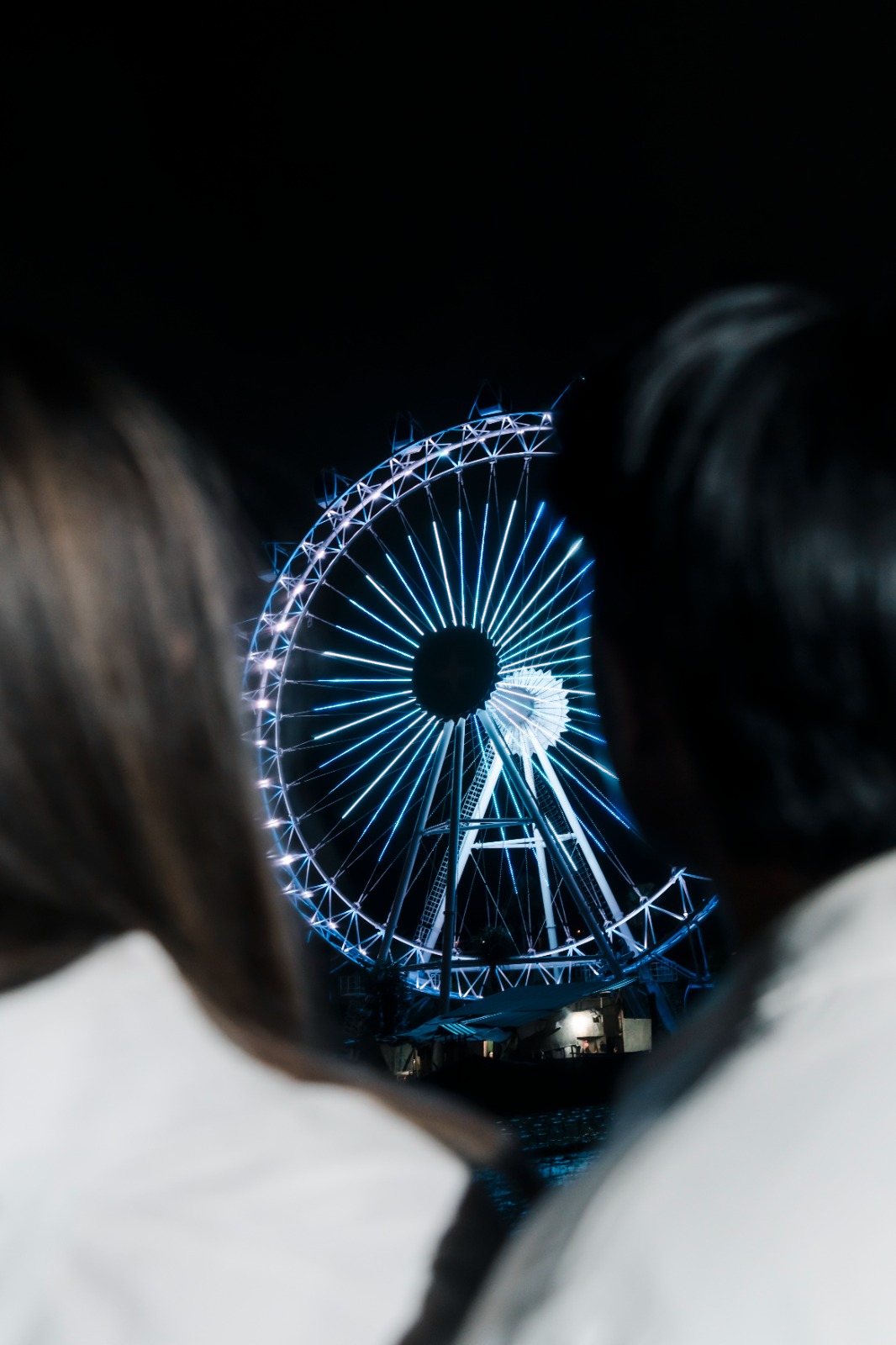 The Wheel Bali