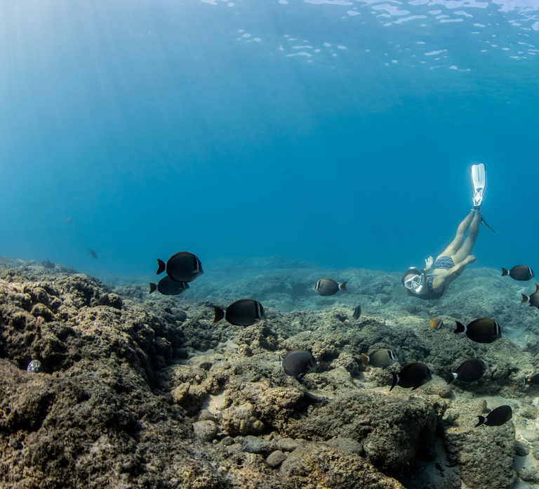 Fujairah: Snorkeling Trip with Equipment