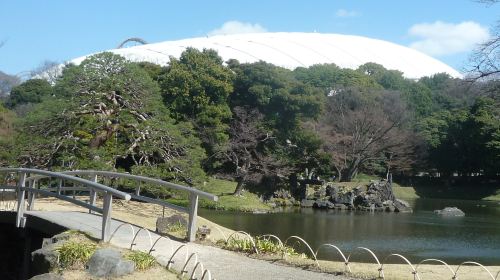Koishikawa Korakuen Garden