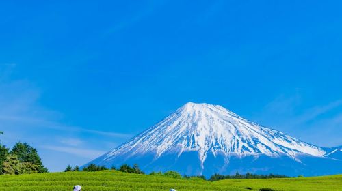 Mount Fuji: Guided Day Tour from Tokyo Day Tours