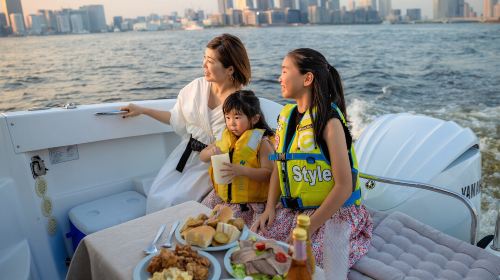 Lall cruise Tokyo: 120 min/60 min private yacht/cruise/boat tour (choose one from six packages) Transport Passes