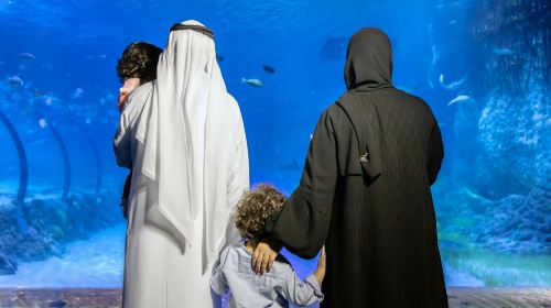 The National Aquarium Abu Dhabi: VIP Package Day Tours