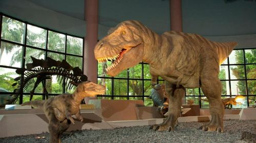 National Museum of Natural Science