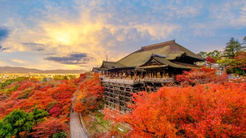 Kyoto and Nara Day Tour – Kiyomizu-dera Temple, Fushimi Inari-taisha Shrine