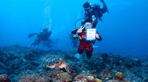 Pingtung Liuqiu Island Diving Experience diving diving 2 Hours – Xiaoliuqiu diving& Sea Turtle Tour