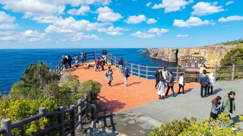 1-day tour to Wakayama & Shirahama hot spring – Visit the cat station master
