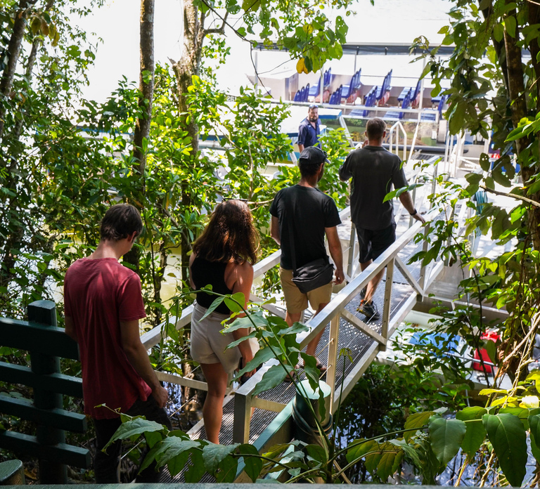 Port Douglas: Afternoon Daintree Tour w/ Wildlife Cruise
