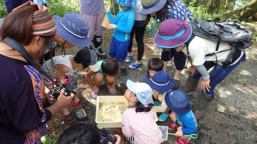 Satoyama Wildlife Observation Workshop Experience at Minamiboso City Tourist Information Center