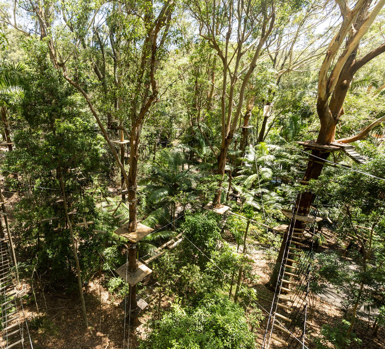 Currumbin Wildlife Sanctuary & High Ropes and Ziplines
