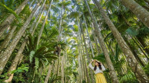 Okinawa attraction pass | Okinawa fun pass