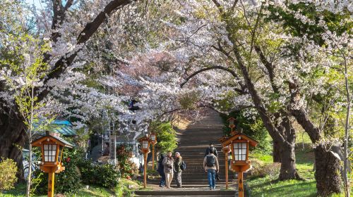 One-Day Fuji Mountain Hot Spring Tour Day Tours