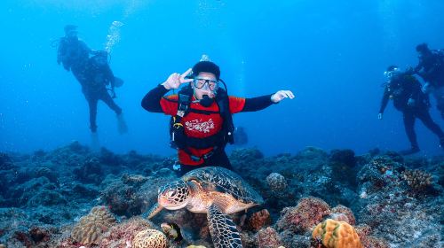 Pingtung Liuqiu Island Diving Experience diving diving 2 Hours – Xiaoliuqiu diving& Sea Turtle Tour