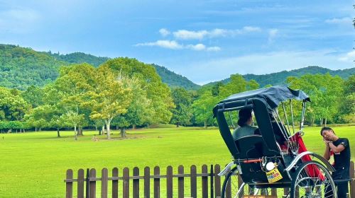 [Rickshaw EBISUYA] Nara Rickshaw Private Chartered Tour