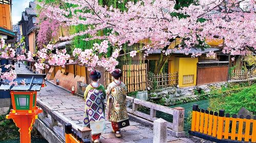 Kyoto 5-Star Geisha Night Walk: Small-Group Authentic Experience