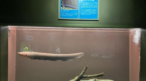 All-Inclusive Day Tour – World Fresh Water Aquarium, Inuyama Castle