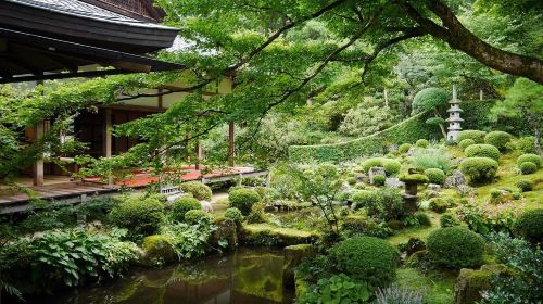 Small group of 9: Kyoto Arashiyama + Kifune Shrine + Sanzen-in 1-day tour with optional Sagano Scenic Railway
