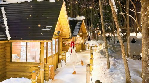 Hokkaido Asahiyama Zoo + Ningle Terrace + Shirahige Waterfall 1-day tour|Group of 9–13 people available Day Tours