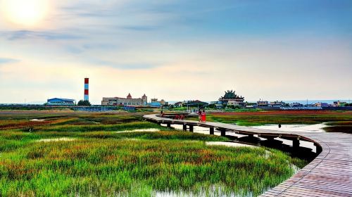 Taiwan Taichung Gaomei Wetland one-day tour[Windmill Silhouette + Wetland Light Chasing] Day Tours
