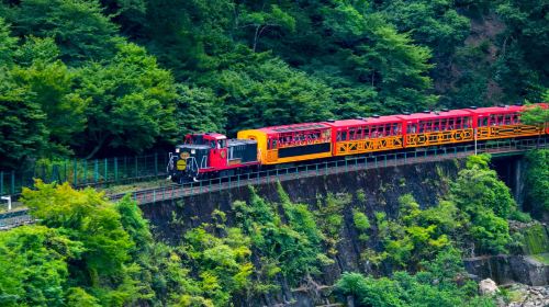 Small group of 9: Kyoto 1-day tour to Kifune shrine, Arashiyama and Sanzen-in