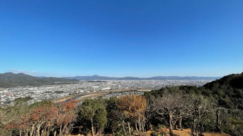 Kyoto: Arashiyama Guided Tour, Bamboo, Monkey, Zen Temple Day Tours