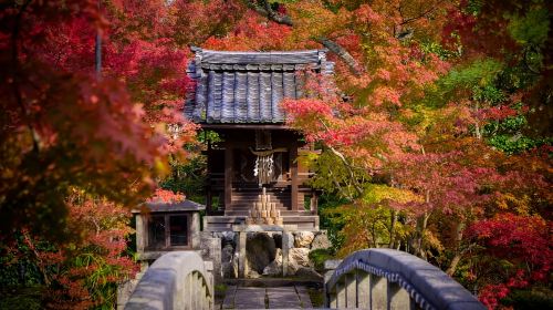 The Must-Do Kyoto Walk: Secret Zen, Scenic Wonders & Temples Day Tours