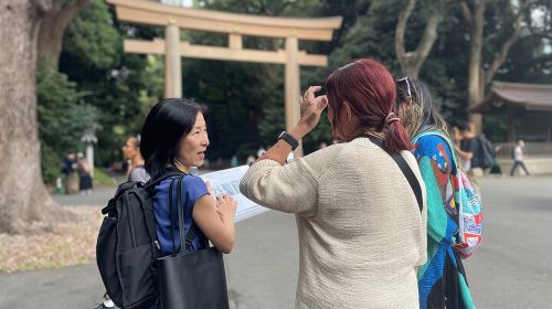 Tokyo Harajuku Tour: From Meiji Park to Takeshita St to Shibuya Crossing Day Tours