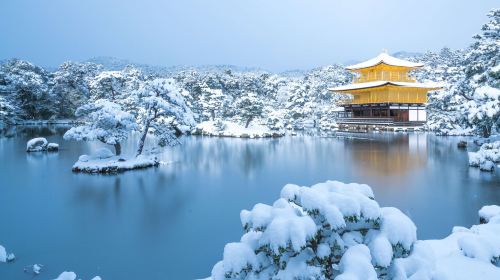 Kyoto in a Day: The Ultimate Top 4 Highlights Tour (From Osaka/Kyoto) Day Tours