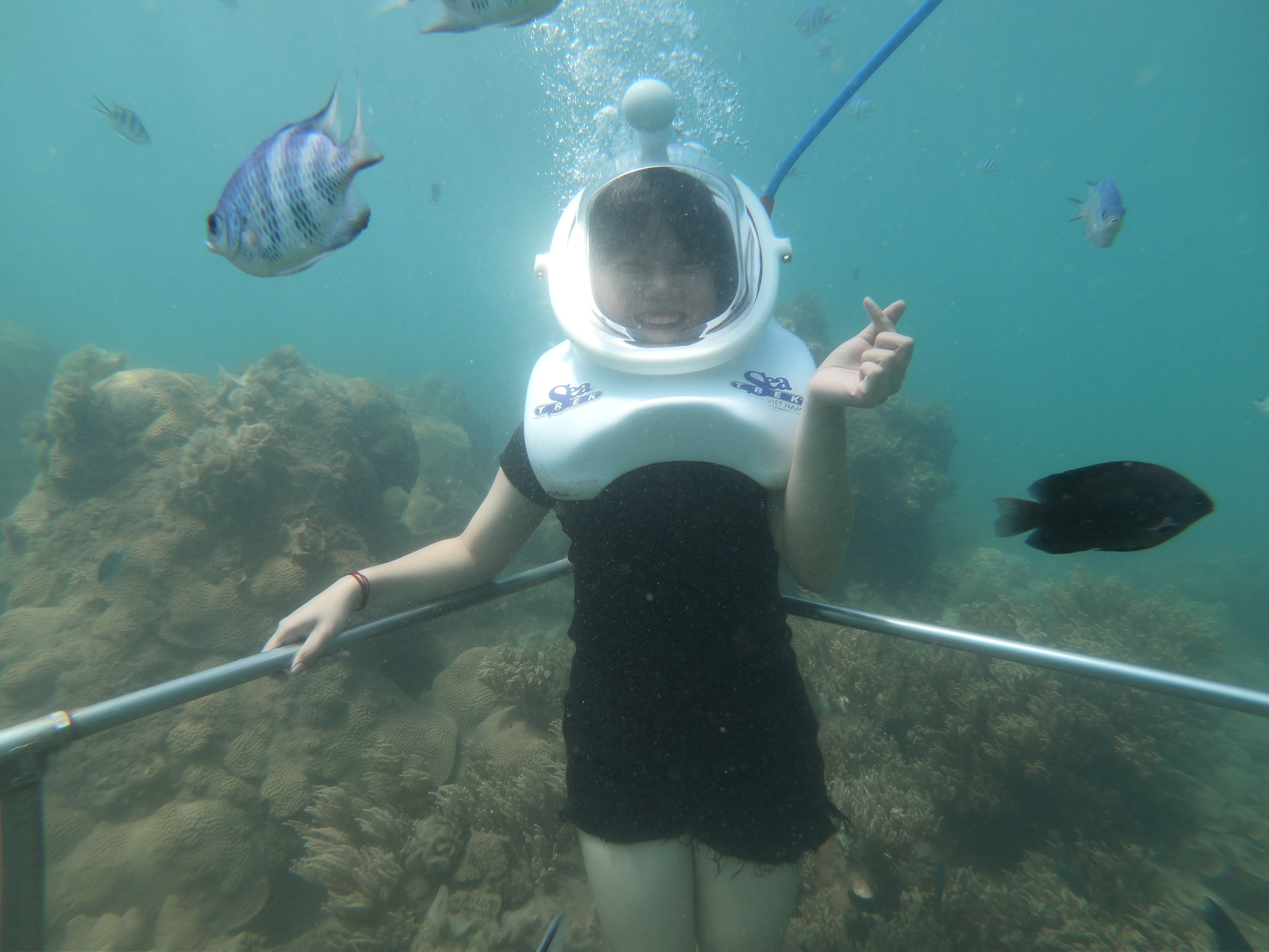 Snorkeling at Cham Islands by Speedboat