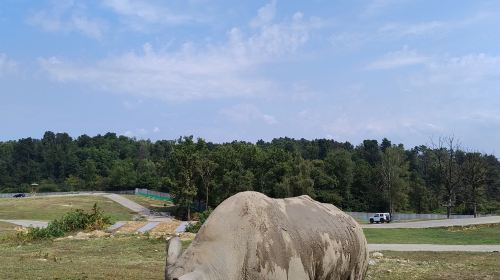 Pombia Safari Park