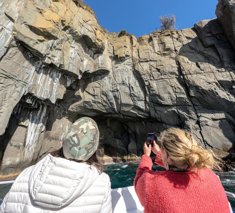 Port Arthur: Cape Raoul Wilderness Cruise