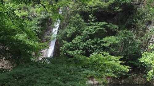 Kobe private tour from Osaka (Shore excursion available from Osaka or Kobe port)