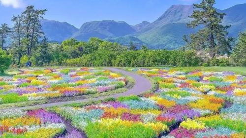 one-day tour of Kyushu Zoo in Oita,Ghibli Town & Animal Interaction Tour