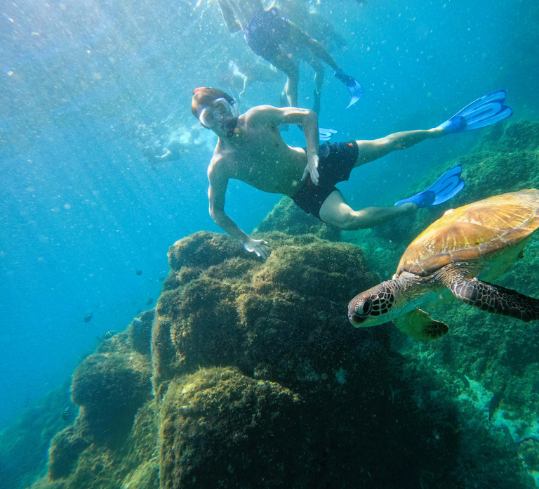 Snorkeling with turtles in Fujairah