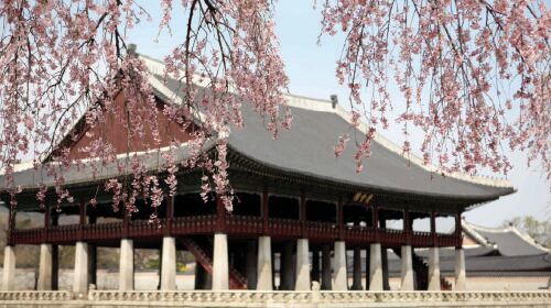 Seoul ancient capital stroll – Gyeongbokgung Palace & Bukchon Hanok Village immersive experience