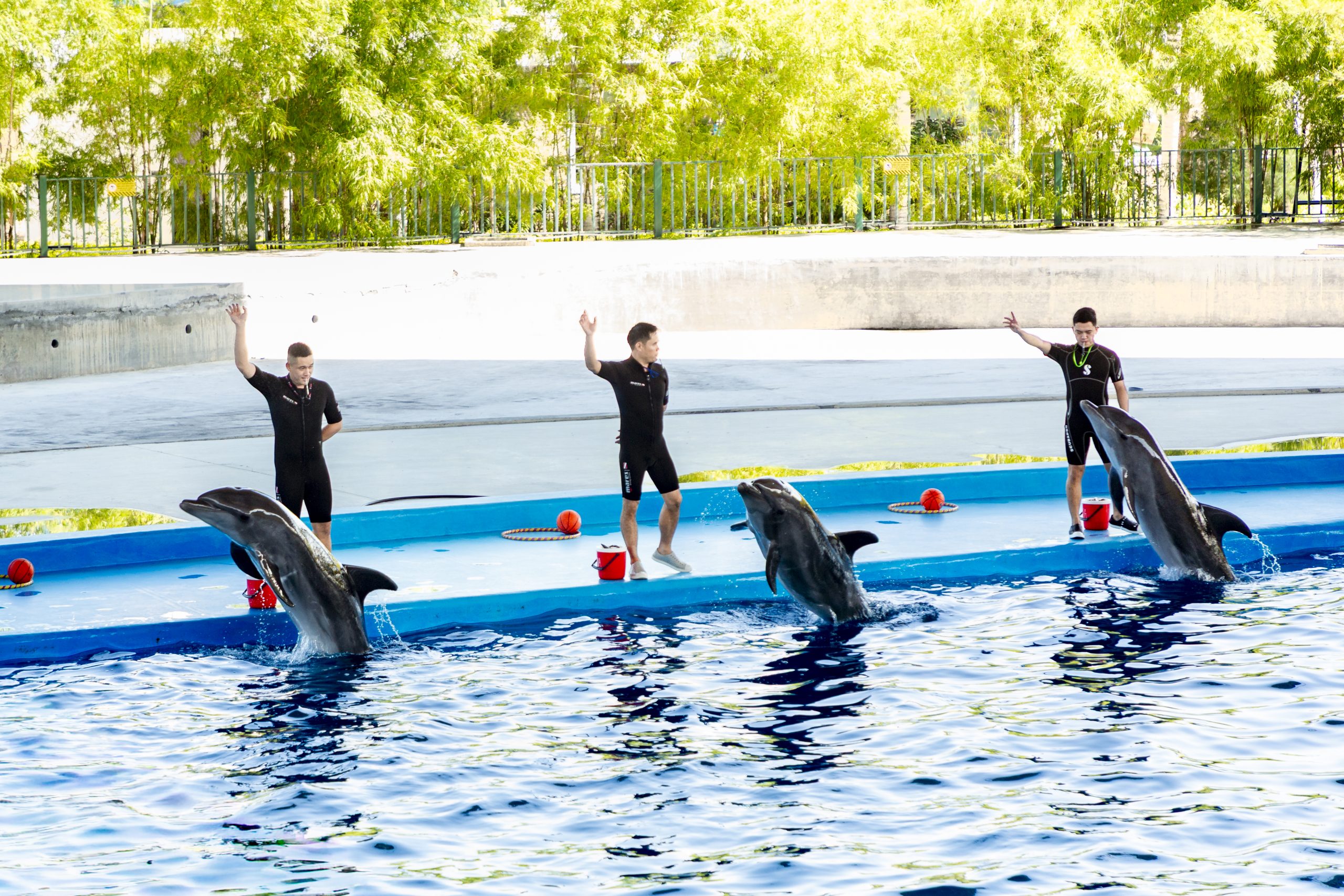 Da Nang Dolphinarium