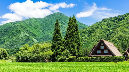 World Heritage Day Tour – Explore Shirakawa-go and Gokayama Thatched Villages with Nohi Bus