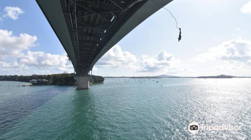 AJ Hackett Auckland Bridge Bungy & Climb