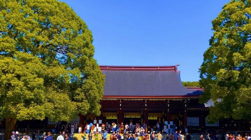 Harajuku Highlights: Where Tradition Meets Tokyo Pop Day Tours