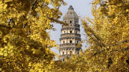Suzhou City Highlights Day Tour – Humble Administrator's Garden, Tiger Hill